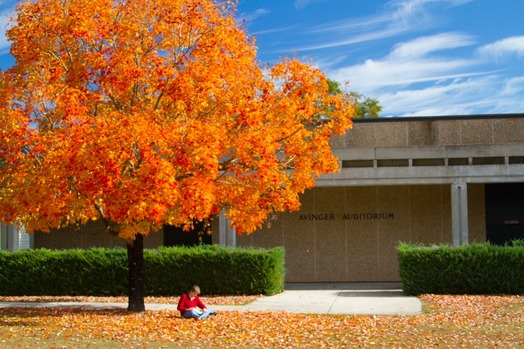 Life On Campus St. Andrews