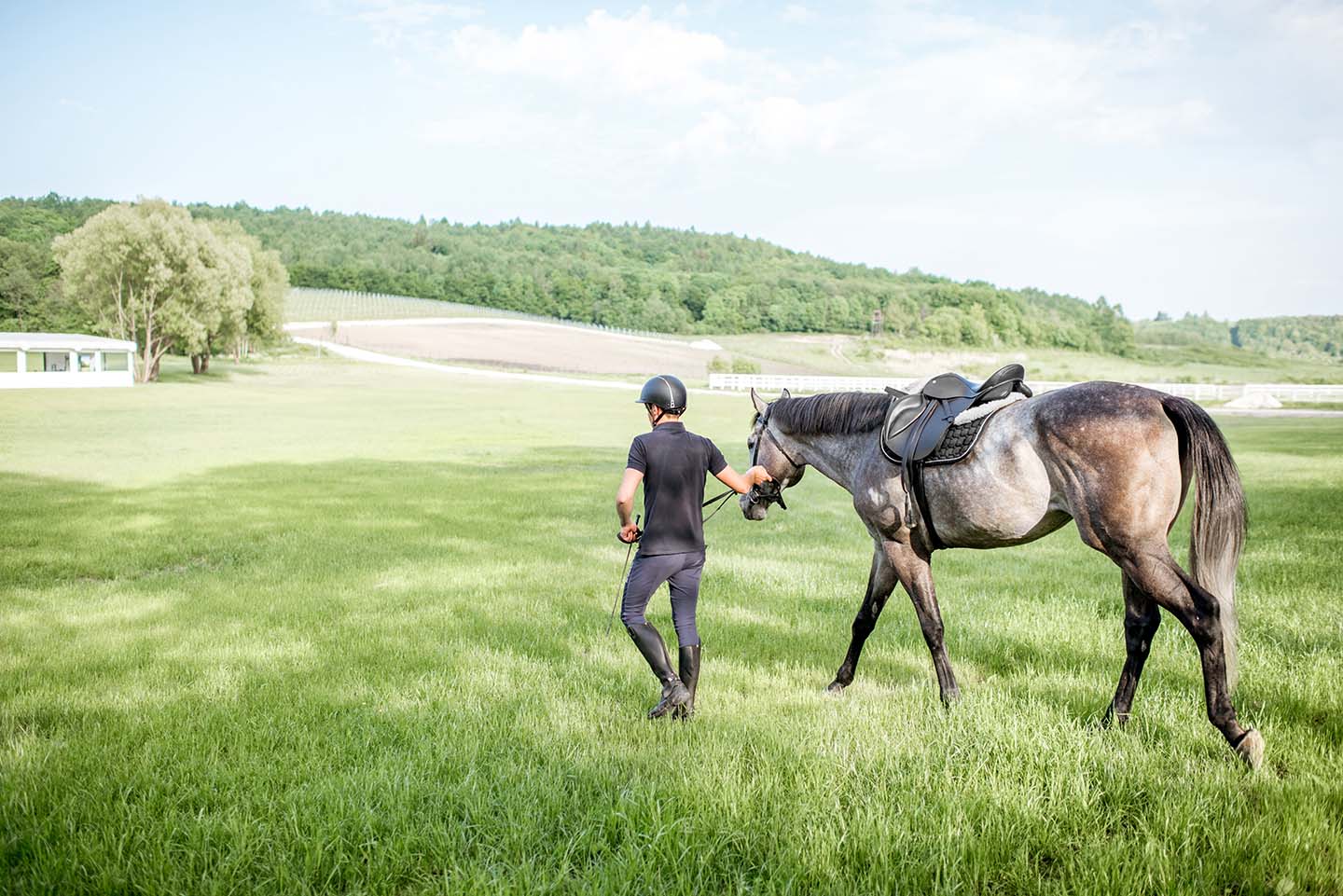 man walking with horse in a field