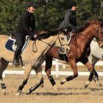 3 equestrian riders