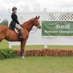ANRC team rider on horse in front of sign