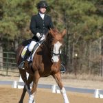 Intercollegiate Dressage rider on horse