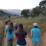 Students at rhino rehab experience