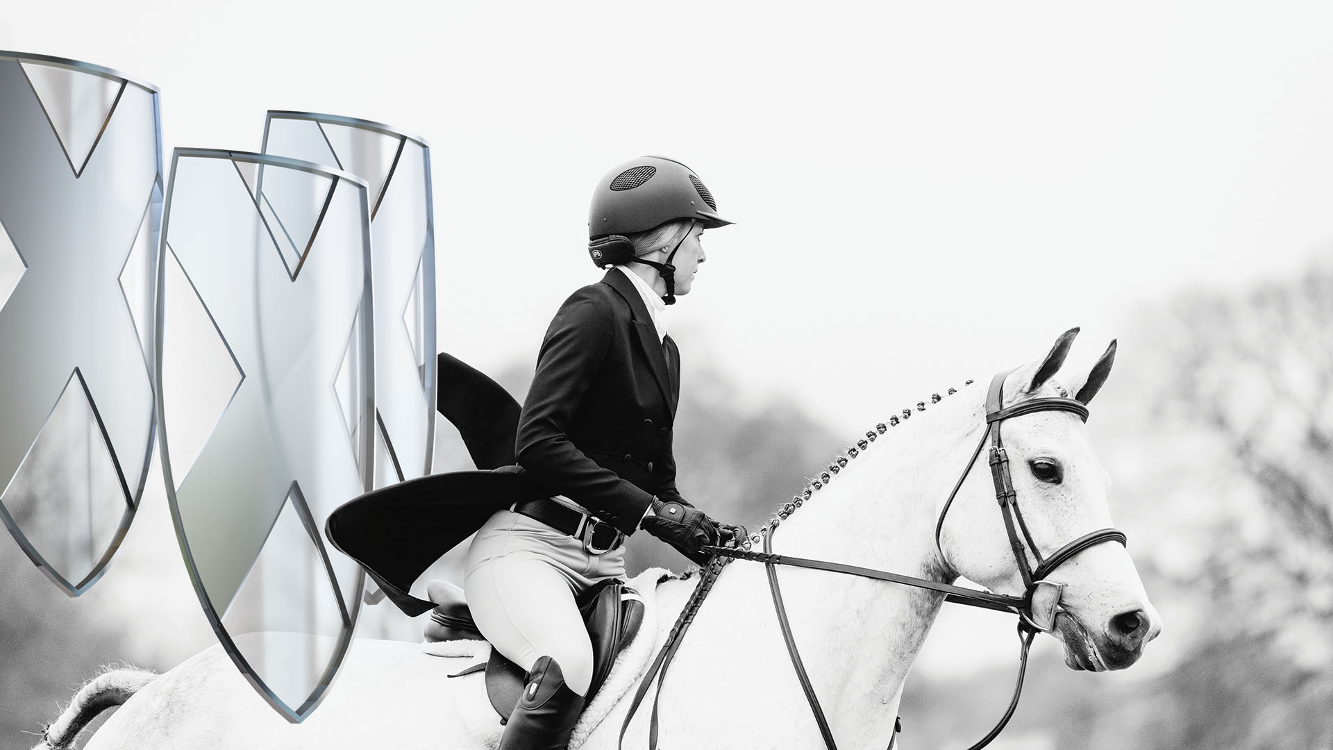 woman with white horse and riding gear