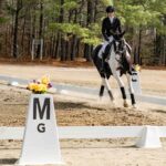 rider on a horse galloping