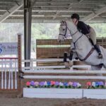 rider on a horse jumping